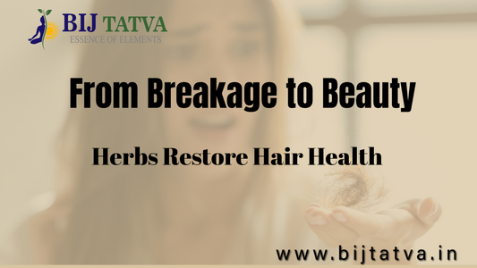 A serene Ayurvedic setup with healing herbs, powders, and a woman gently applying a hair mask—symbolizing restoration from breakage to beauty.