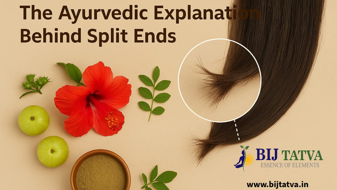 Close-up of hair with split ends beside Ayurvedic remedies like herbal oils, hibiscus, and amla, symbolizing natural solutions for repairing and preventing split ends.
