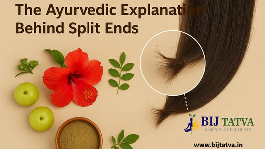 Close-up of hair with split ends beside Ayurvedic remedies like herbal oils, hibiscus, and amla, symbolizing natural solutions for repairing and preventing split ends.
