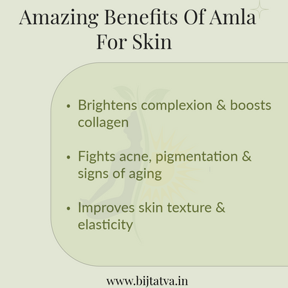 100% Pure Amla Powder – Ayurvedic Hair, Skin & Wellness Booster
