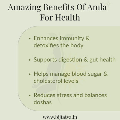 100% Pure Amla Powder – Ayurvedic Hair, Skin & Wellness Booster