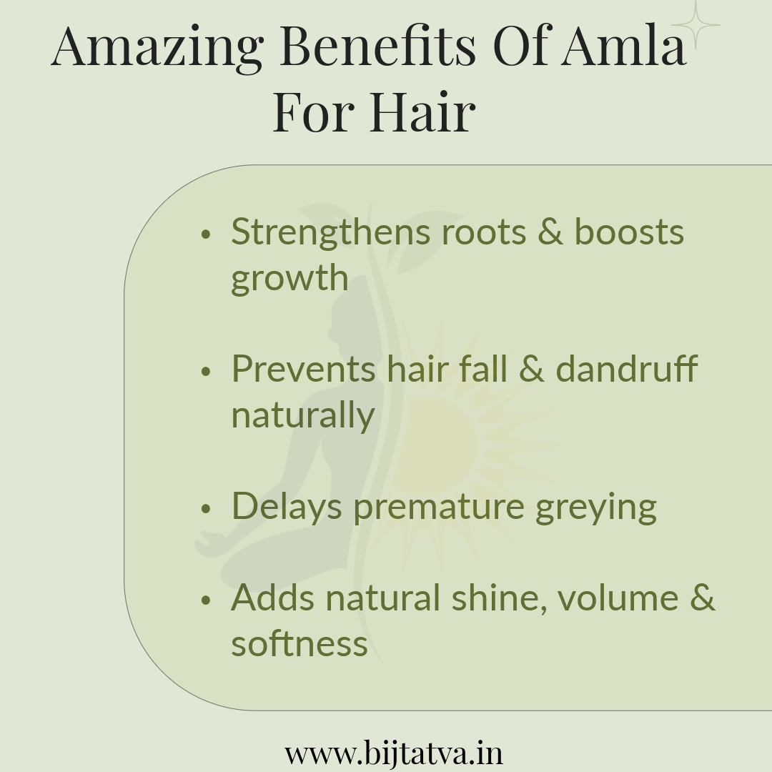 100% Pure Amla Powder – Ayurvedic Hair, Skin & Wellness Booster
