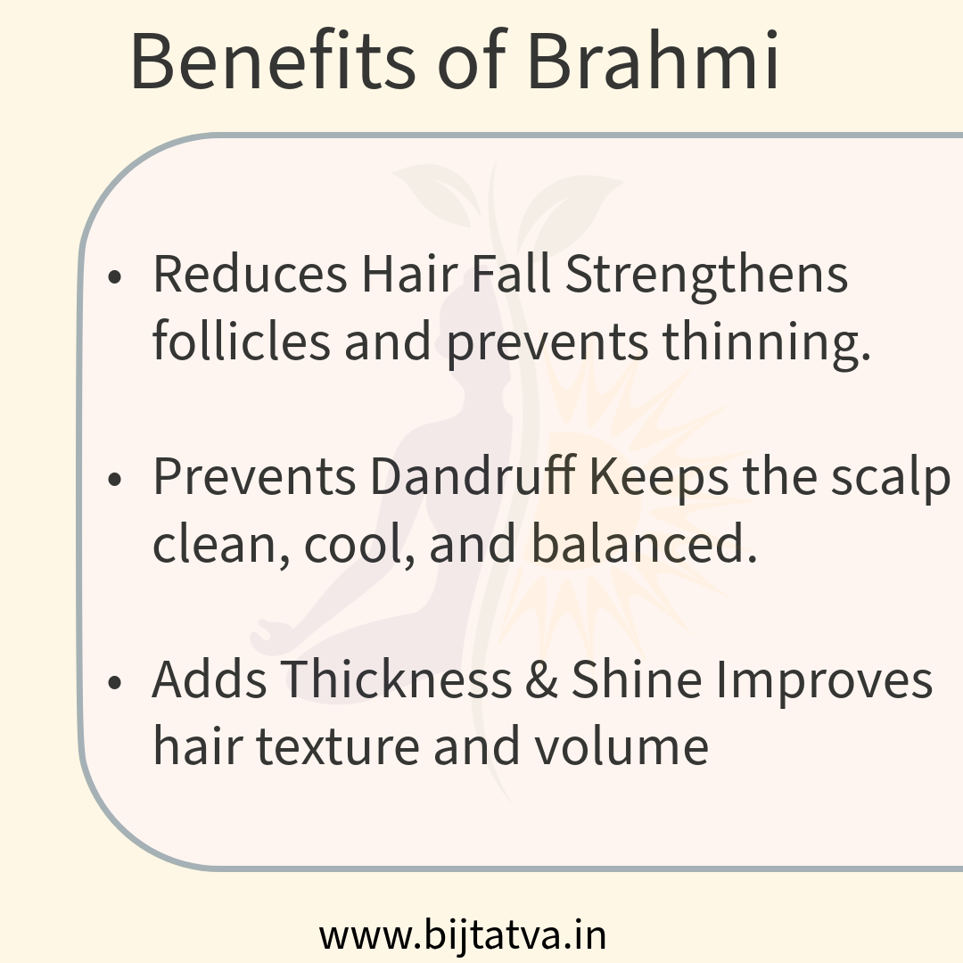 Benefits of BIJ Tatva Brahmi Powder – Boosts Hair Growth, Reduces Dandruff, Calms the Mind