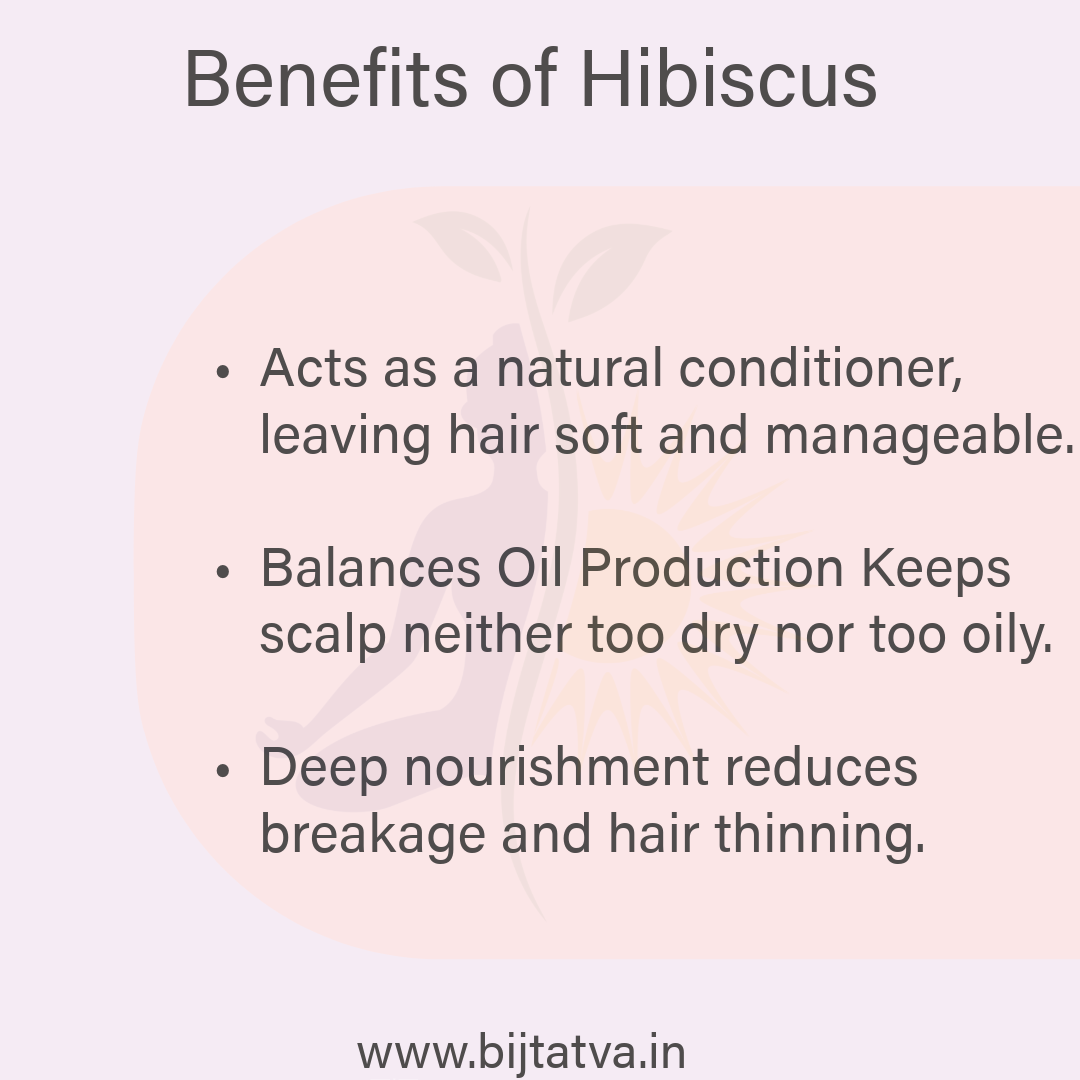 Benefits of BIJ Tatva Hibiscus Powder – Boosts Hair Growth, Reduces Dandruff, Adds Shine & Volume