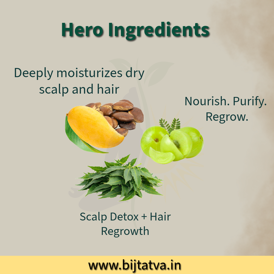 Hero Ingredients of Mango Seed Hair Mask – Mango Seed, Amla, Neem, Fenugreek, Bhringraj by BIJ Tatva

