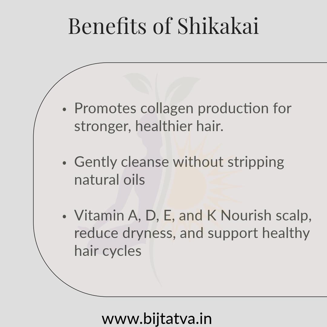 Benefits of Shikakai Powder – Reduces Hair Fall, Controls Dandruff, Boosts Natural Hair Growth